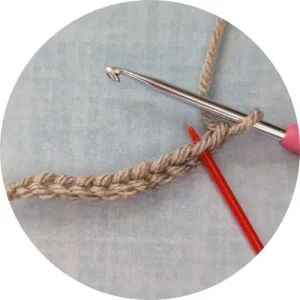 Single Crochet: Insert Your Hook