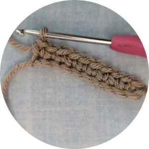 Single Crochet: Continue across the row